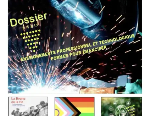 ENJEUX 299